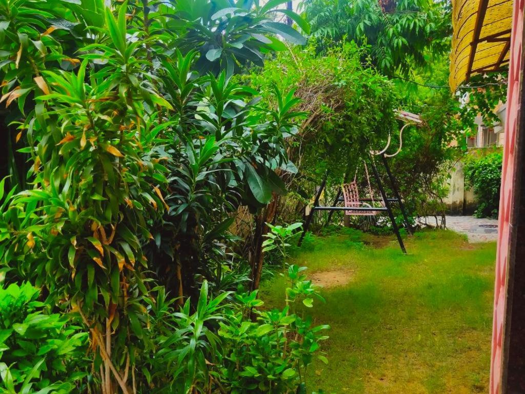 Jwala Niketan Eco Homestay Джайпур Екстер'єр фото